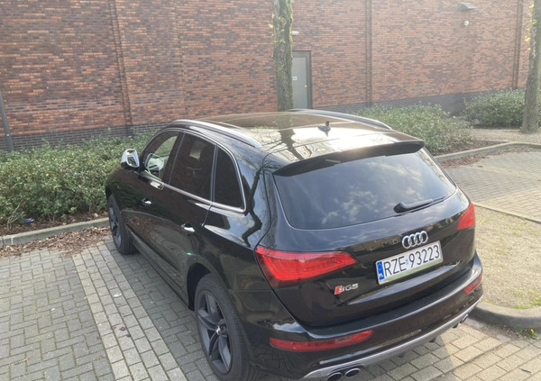 Audi SQ5 cena 93900 przebieg: 239643, rok produkcji 2015 z Kolbuszowa małe 379